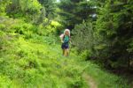 2014-07-05_Laengental-N-Hochweg (687). JPG